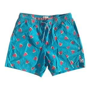 Public Beach Mens Watermelon Print Elastic Waist Drawstring‎ SwimShorts, Size M